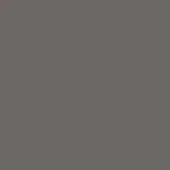 Fenix laminate swatch, medium grey X021, matte finish, consistent neutral tone, smooth surface texture, MDF Italia material sample.